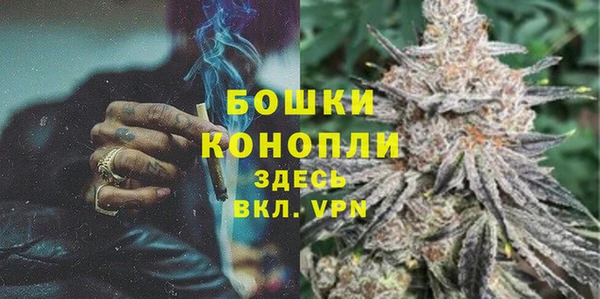сатива Арсеньев