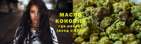 крисы Аркадак