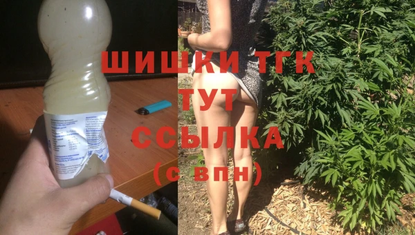 сатива Арсеньев