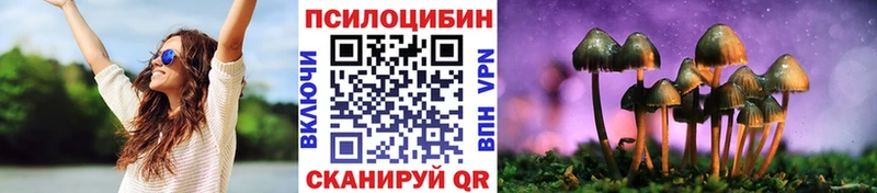 Псилоцибиновые грибы мицелий  Тайга 