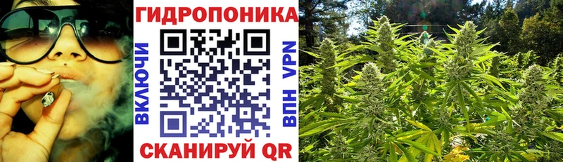 Канабис марихуана  где найти наркотики  Тайга 